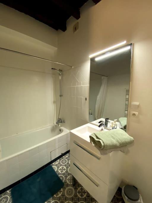 L'Escapade Blesoise - Hyper Centre Apartment บลัวส์ ภายนอก รูปภาพ