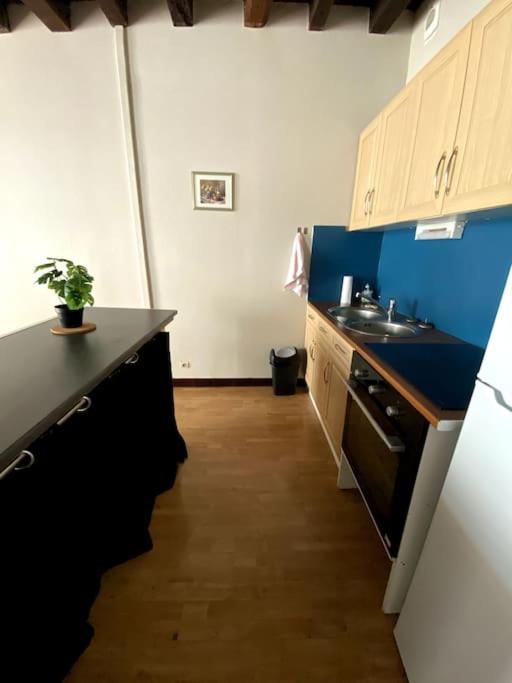 L'Escapade Blesoise - Hyper Centre Apartment บลัวส์ ภายนอก รูปภาพ